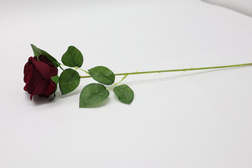 Single Head Rose with leaves